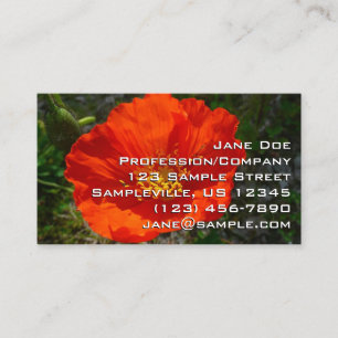 Alaskan Red Poppy Colourful Flower Business Card