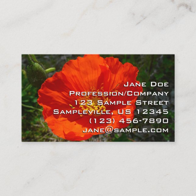 Alaskan Red Poppy Colourful Flower Business Card (Front)