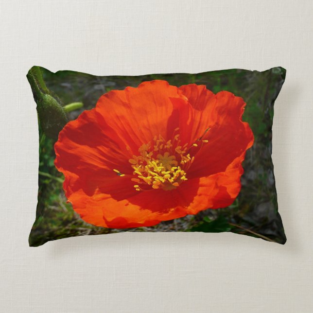 Alaskan Red Poppy Colourful Flower Decorative Cushion (Front)