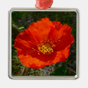 Alaskan Red Poppy Colourful Flower Metal Tree Decoration