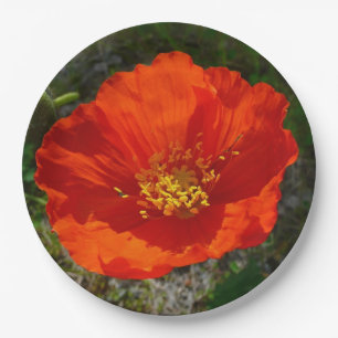 Alaskan Red Poppy Colourful Flower Paper Plate
