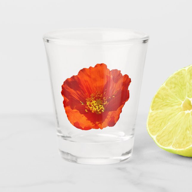 Alaskan Red Poppy Colourful Flower Shot Glass (Front)