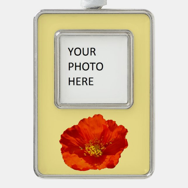 Alaskan Red Poppy Colourful Flower Silver Plated Framed Ornament (Front)