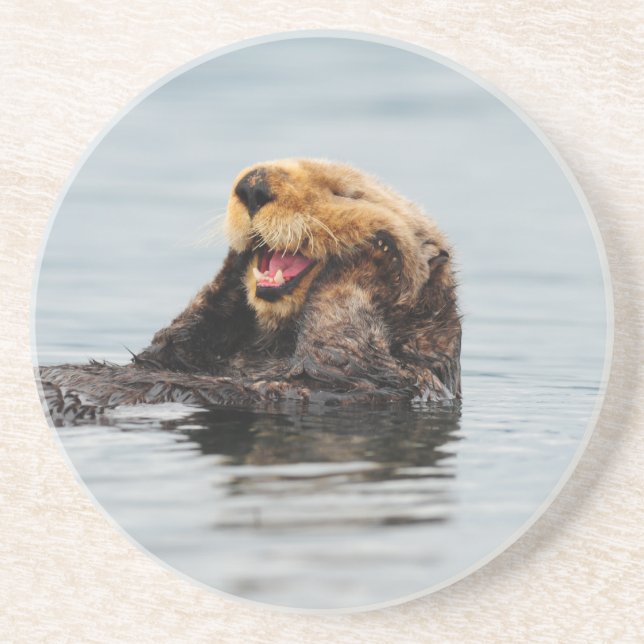 Alaskan Sea Otter Coaster (Front)