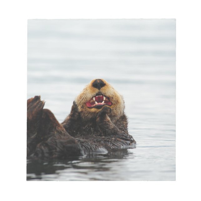 Alaskan Sea Otter Notepad (Front)