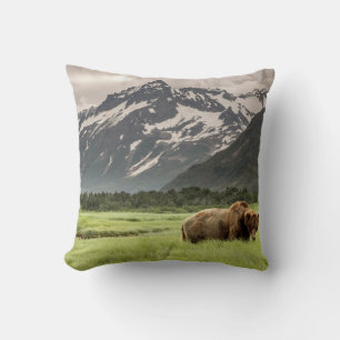 Alaskan shores, grizzly bear cushion