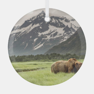 Alaskan shores, grizzly bear glass tree decoration
