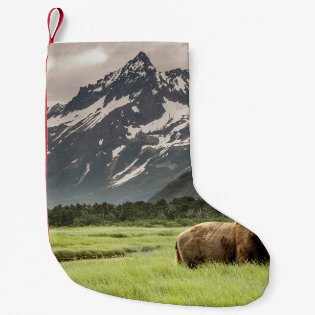 Alaskan shores, grizzly bear small christmas stocking (Front)