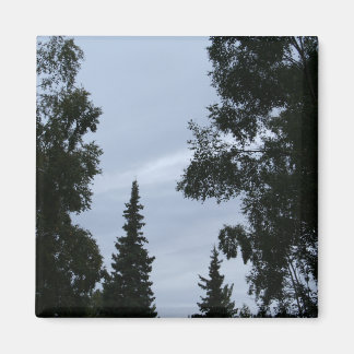 Alaskan sky magnet
