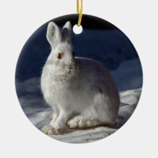 Alaskan Snowshoe Hare Ceramic Tree Decoration
