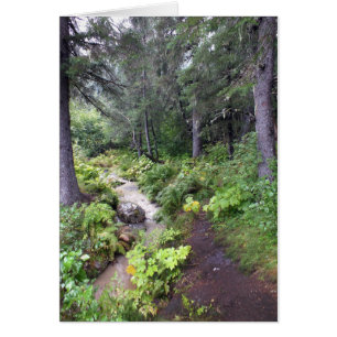 Alaskan Stream
