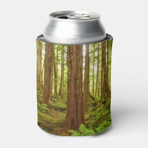 Alaskan Temperate Rainforest Can Cooler