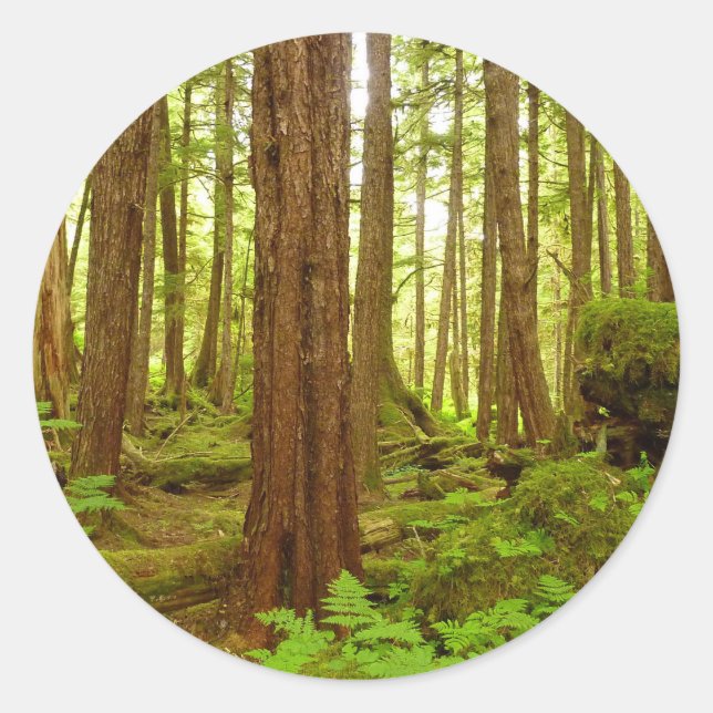 Alaskan Temperate Rainforest Classic Round Sticker (Front)
