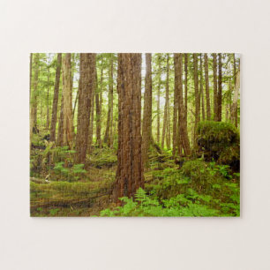 Alaskan Temperate Rainforest Jigsaw Puzzle