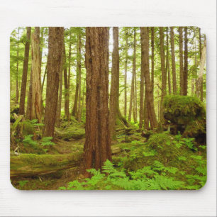 Alaskan Temperate Rainforest Mouse Mat