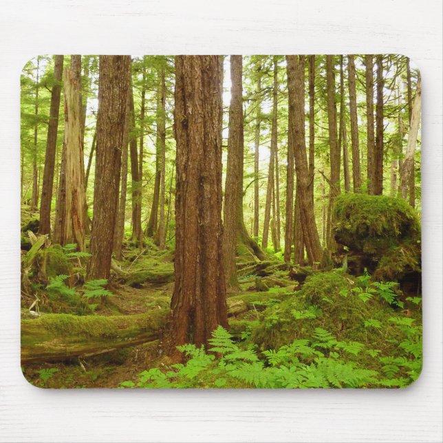 Alaskan Temperate Rainforest Mouse Mat (Front)