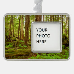 Alaskan Temperate Rainforest Silver Plated Framed Ornament