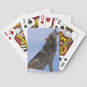 Alaskan Timber Wolf Playing Cards