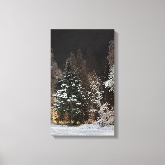 Alaskan Winter Night Stretched Canvas Print (Front)