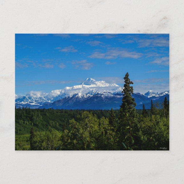 Alaska's Mt. McKinley Postcard (Front)