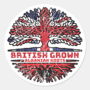 Albanian Albania Uk United Kingdom British Tree Classic Round Sticker