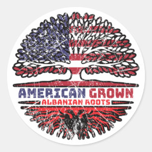 Albanian Albania US American USA United States Classic Round Sticker
