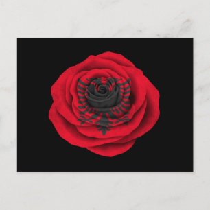 Albanian Rose Flag on Black Postcard
