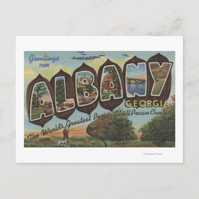 Albany, Georgia - Large Letter Scenes Postcard (Front)