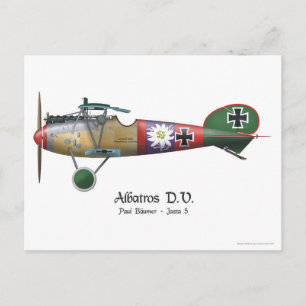 Albatros D.V. ww1 German Fighter Plane Bäumer Postcard