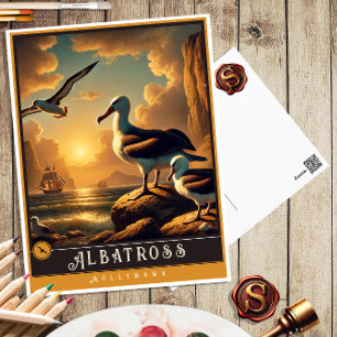 Albatross   Cute Family Vintage Animal Postcard
