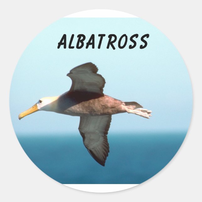 Albatross Flying Classic Round Sticker (Front)