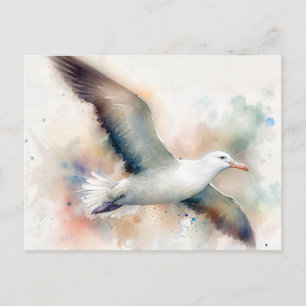 Albatross Watercolor Postcard