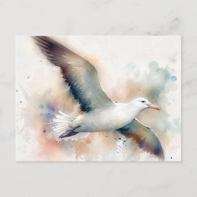 Albatross Watercolor Postcard (Front)