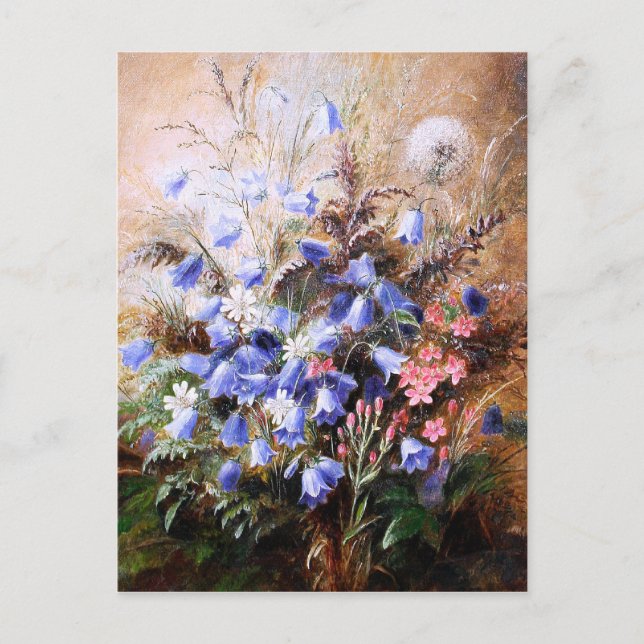 Albert Dürer Lucas: Harebells and Centaury Postcard (Front)