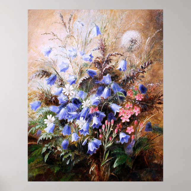 Albert Dürer Lucas: Harebells and Centaury Poster (Front)