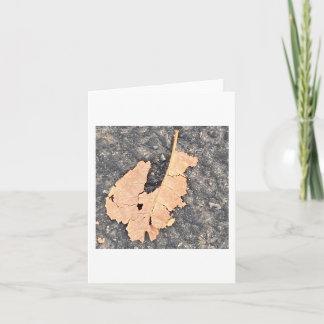 Albert The Leaf Squirrel 🐿️  Card