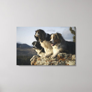 Alberta, Canada 2 Canvas Print