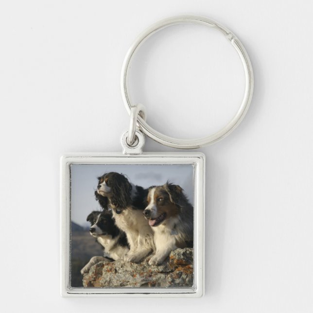 Alberta, Canada 2 Key Ring (Front)