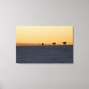 Alberta, Canada 3 Canvas Print