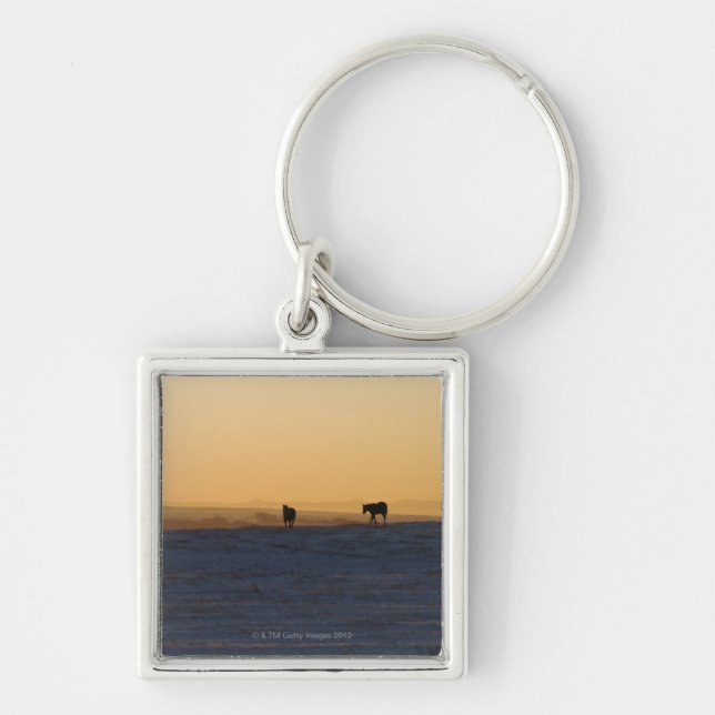 Alberta, Canada 3 Key Ring (Front)