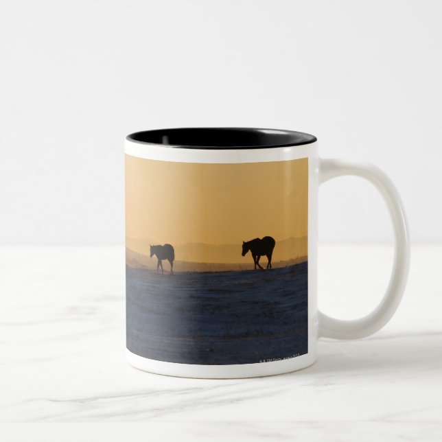 Alberta, Canada 3 Two-Tone Coffee Mug (Right)