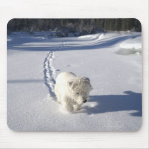 Alberta, Canada Mouse Mat