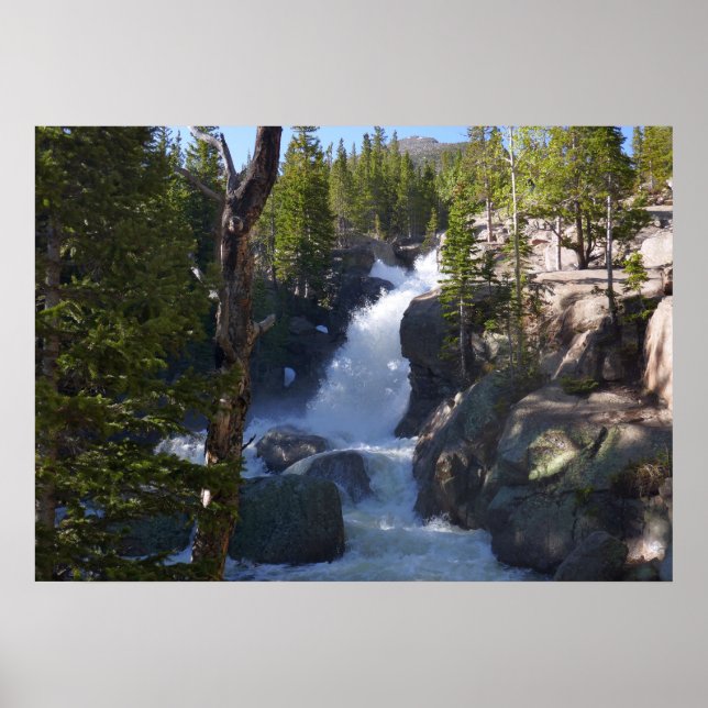 Alberta Falls I Poster (Front)