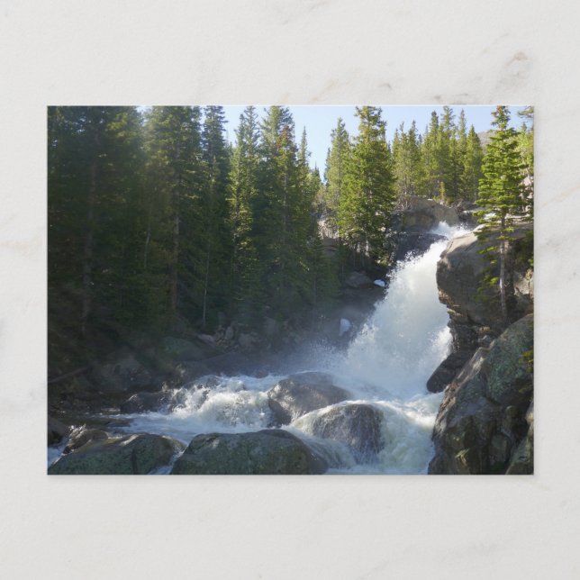 Alberta Falls II Postcard (Front)