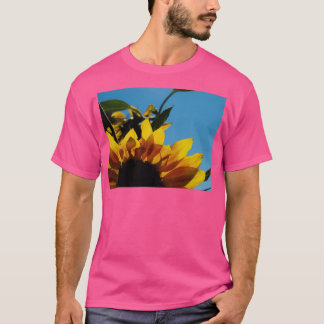 Alberta Sunflower Blue Sky T-Shirt