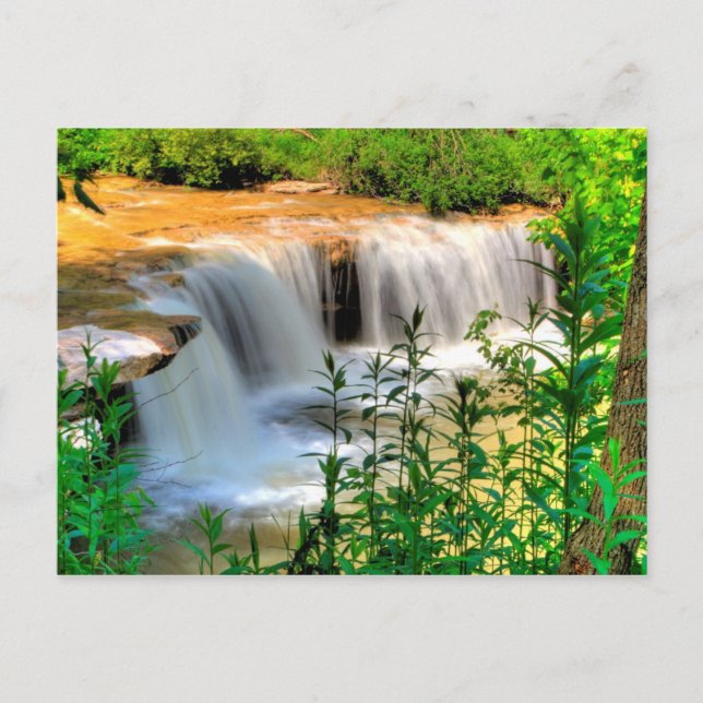 Alberts Falls, Thomas, West Virginia Postcard (Front)