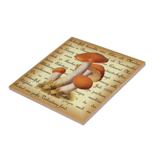 Albin Schmalfuß~Espenrotkappe1~ Mushrooms ~ Tile (Side)