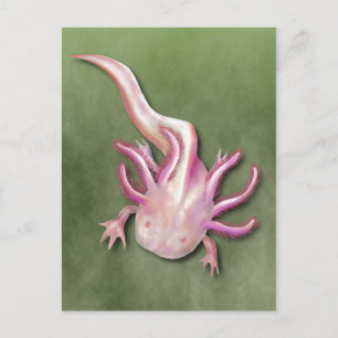 Albino Axolotl "Walking Fish" Art Postcard