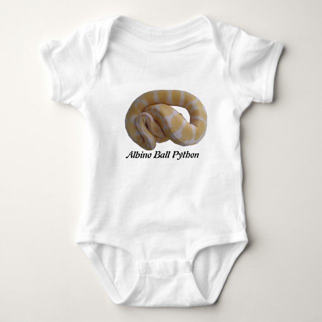 Albino Ball Python Infant Creeper (Front)