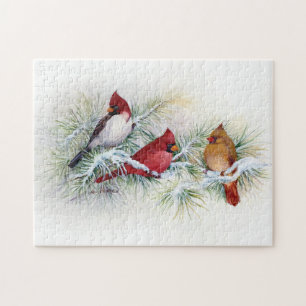 Albino Cardinal Visits Jigsaw Puzzle